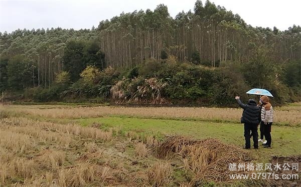 荣昌区陈老师带着爱徒寻龙点穴